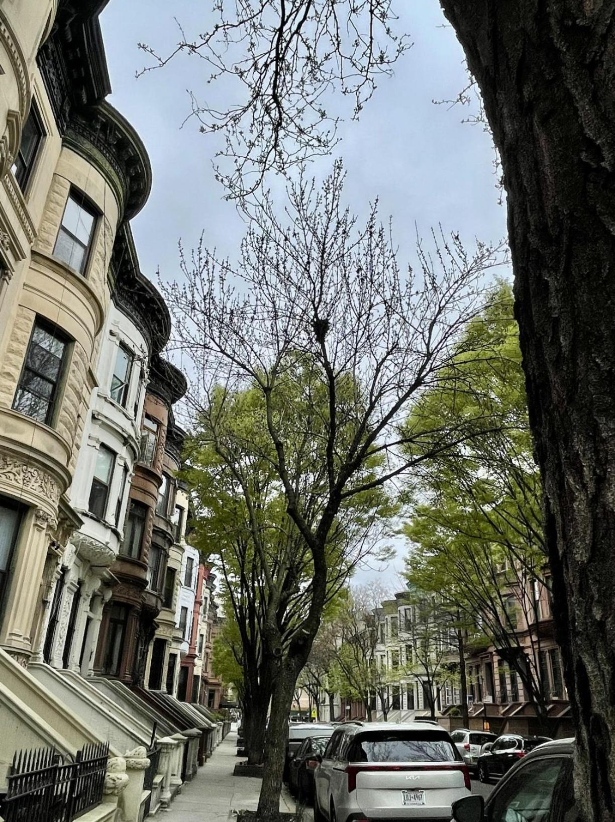 Nyc Townhouse Apartment New York Exterior foto